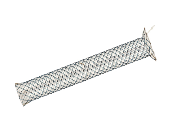 Niti-S Biliary Covered Stent [Flare-Type]